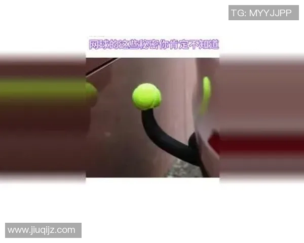 实时新闻刘丽独家分享网球心得与技巧助你提升球技的秘密之旅